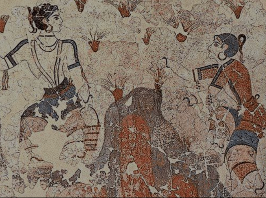 Ancient fresco showing women harvesting saffron flowers.